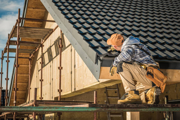 Best Roof Moss and Algae Removal  in West Reading, PA